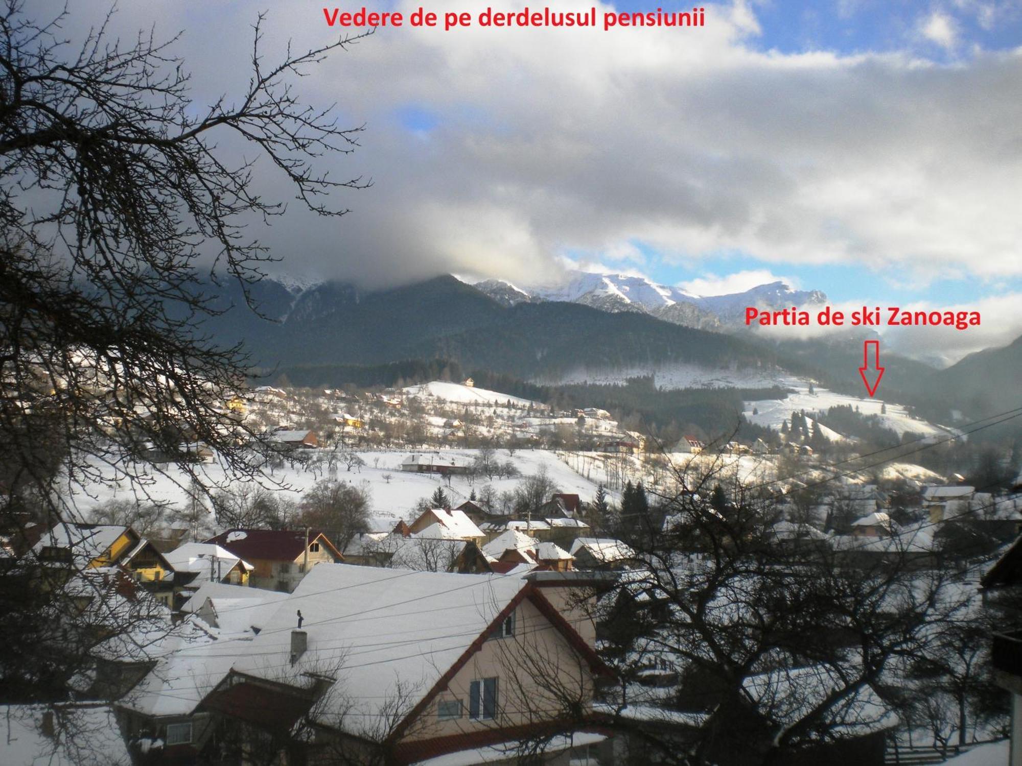 Pensiunea Sarah Bran Bran  Exteriér fotografie